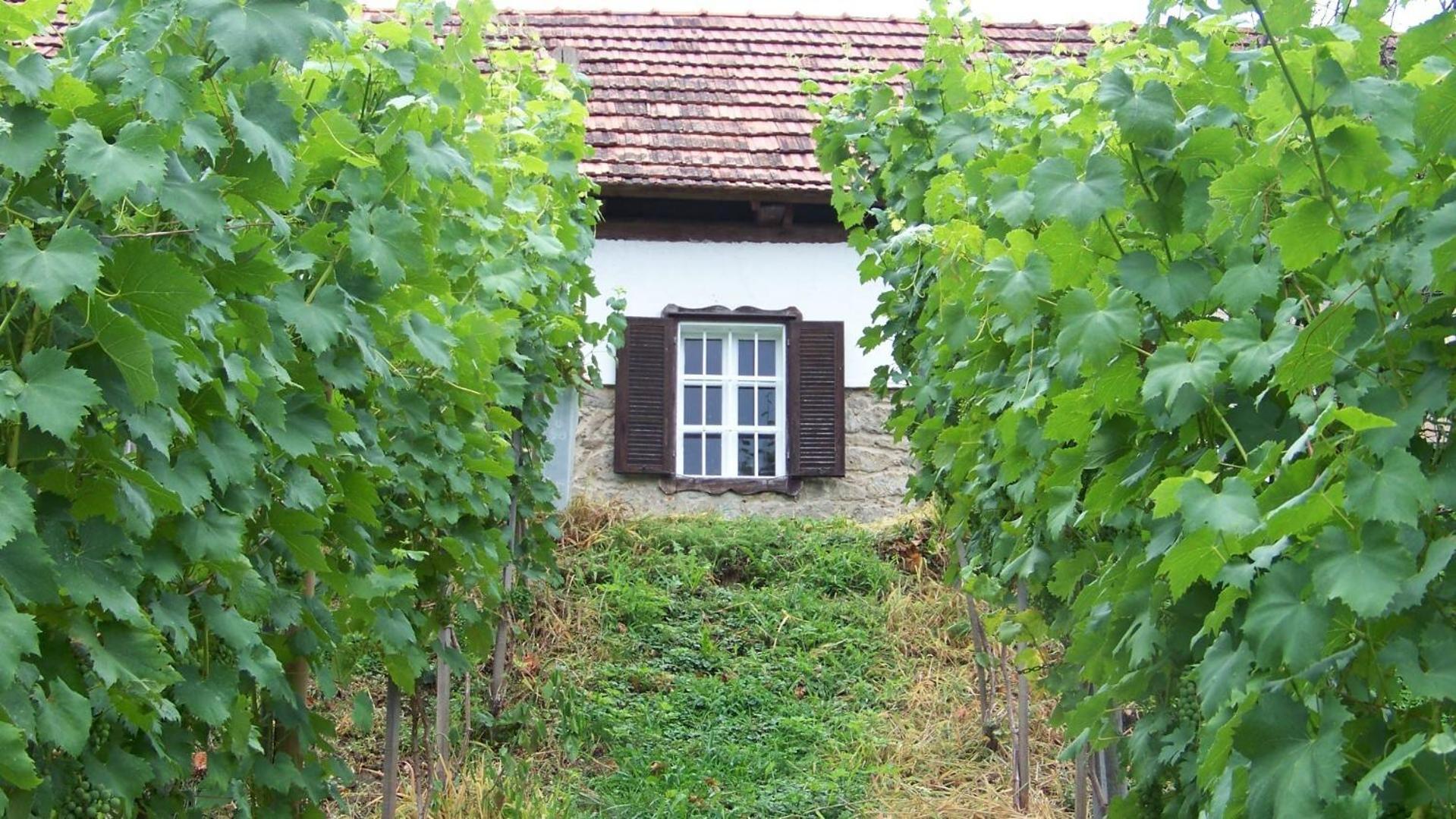 Apartment Liendl Riegersburg Esterno foto