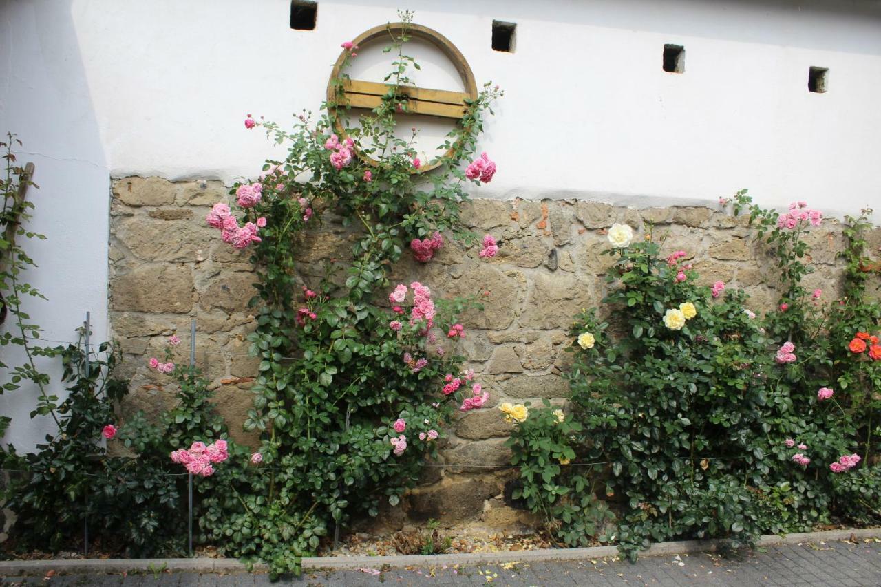 Apartment Liendl Riegersburg Esterno foto